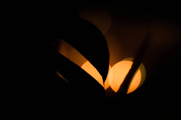 Silhouettes Palm Leaves Bokeh Lights Background — 스톡 사진