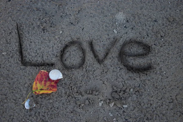 Word Love Written Sand White Shell — Photo