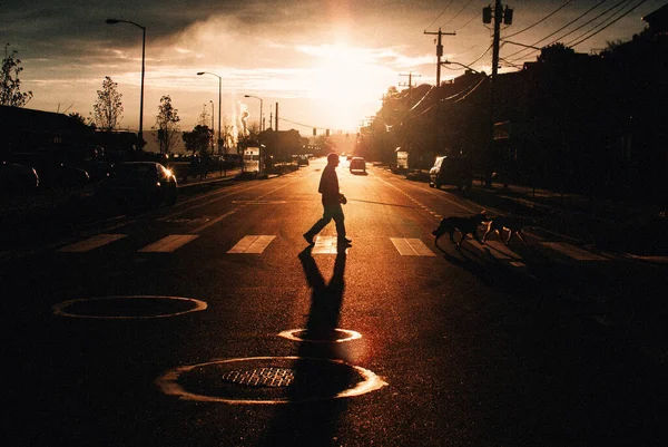 Una Hermosa Vista Humano Cruzando Carretera Con Una Sombra Ciudad — Foto de Stock
