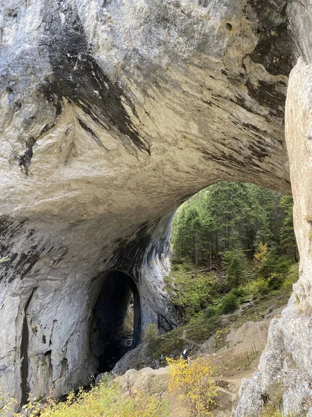 Beautiful View Cave Large Trees —  Fotos de Stock