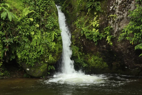 Uma Pequena Cachoeira Fluindo Rio Através Dos Penhascos Musgosos — Fotografia de Stock