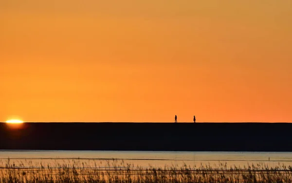 Beautiful Shot Orange Sunset Margrethekog Waddensee Denmark — стоковое фото