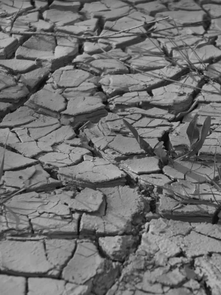 햇볕에 실외에서의 가뭄을 세밀하게 촬영하는 덧대고 질감을 붙이기에 — 스톡 사진