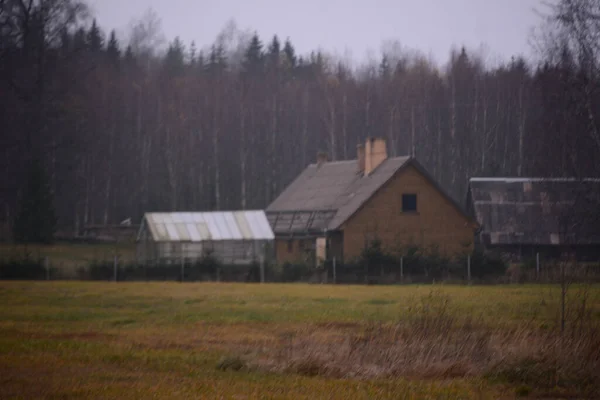 Old Wooden Barns Surrounded Bare Trees Gloomy Day Countryside — Photo