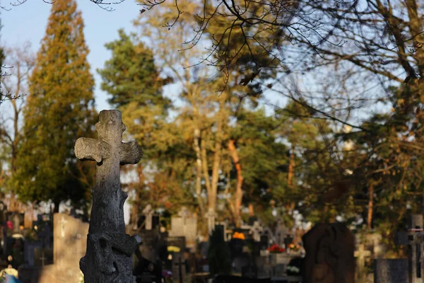 Closeup Shot Concrete Crosses Cemetery Poland — Foto Stock