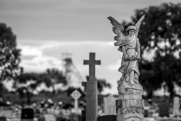 Grayscale Shot Angel Statue Cemetery — Foto Stock