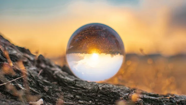 Crystal Glass Ball Tree Branch Flipped Reflection Sun Sky — Foto de Stock
