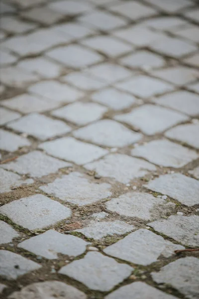 Closeup Shot Street Made Gray Bricks — Stockfoto