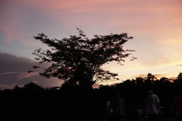 Beautiful View Silhouettes Trees Group People Sunset Sky —  Fotos de Stock