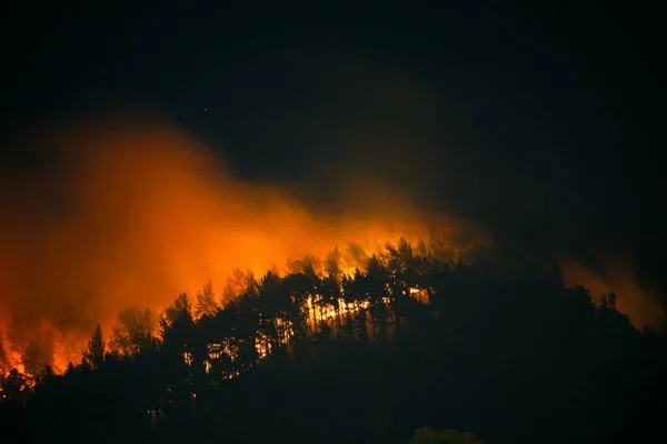 Fire Burns Mountains Trinidad Cold Night Air — Photo