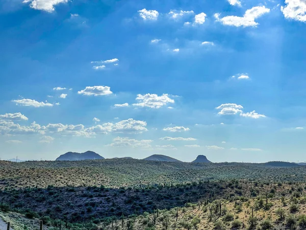 Una Vista Impresionante Desierto Con Plantas Bajo Cielo Nublado Arizona —  Fotos de Stock