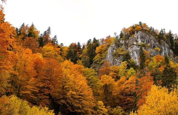 Beautiful View Autumn Trees Rocky Mountains Cloudy Sky — Fotografia de Stock