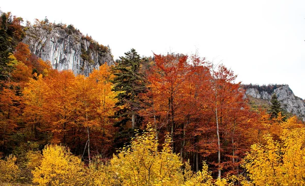 Beautiful View Autumn Trees Rocky Mountains Cloudy Sky — Zdjęcie stockowe