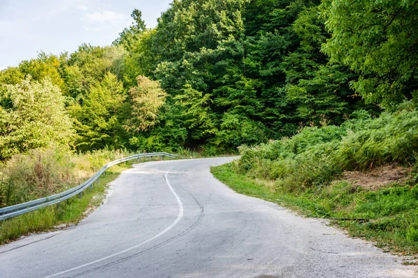 View Road Going Forest — Fotografia de Stock