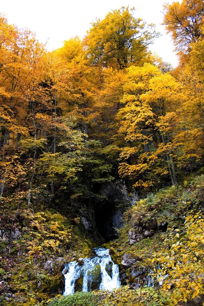 Vertical Shot Small Waterfall Surrounded Autumn Trees — Zdjęcie stockowe