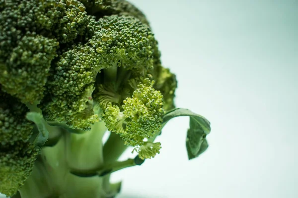 Vertical Close Shot Healthy Broccoli — стоковое фото