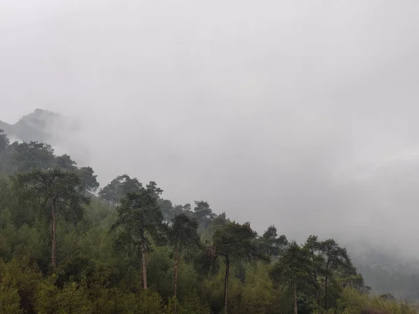 Прекрасний Знімок Туманних Хмар Над Схилом Лісу — стокове фото