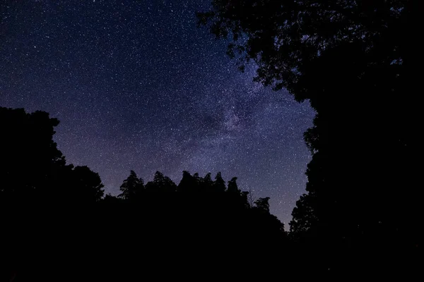 Starry Sky Trees Sanctuary Called Mountain Light Sanctuary — Zdjęcie stockowe