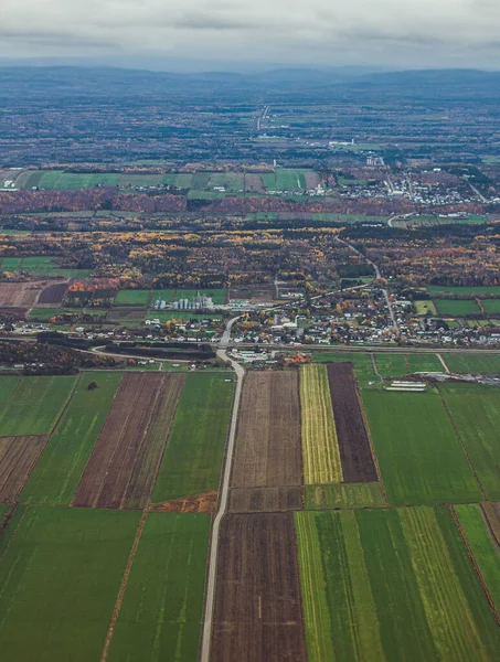 Plan Vertical Kamouraska Entouré Grandes Cultures Agricoles Québec Canada — Photo