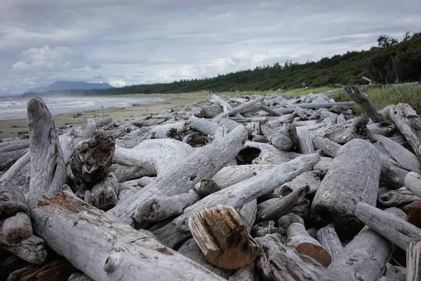 Pile Old Wood Gloomy Seashore — Stockfoto