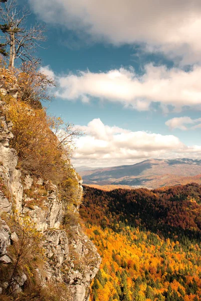 Mesmerizing View Dense Autumn Trees Mountains — Stock fotografie