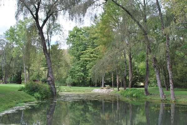 Beautiful Shot Small Lake Green Park — Stockfoto