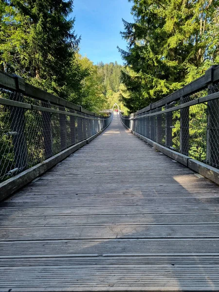 Wooden Bridge Going Forest — стоковое фото