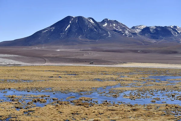 Landscape Lake Miscanti Surrounded Hills Atacama Desert Sunny Day Chile — Stockfoto