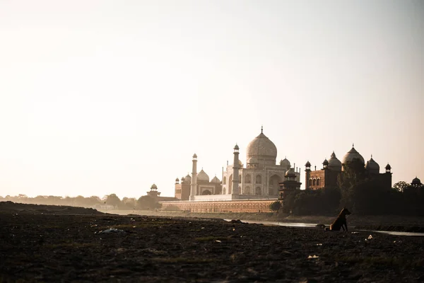 Beautiful Shot Mehtab Bagh Agra India — Φωτογραφία Αρχείου