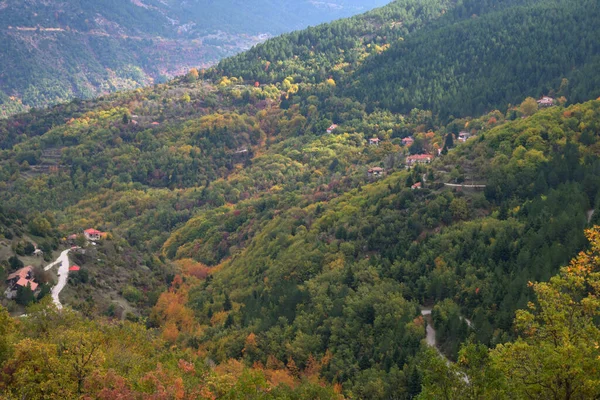 Colorful Autumn Trees Mountain Forest — 图库照片