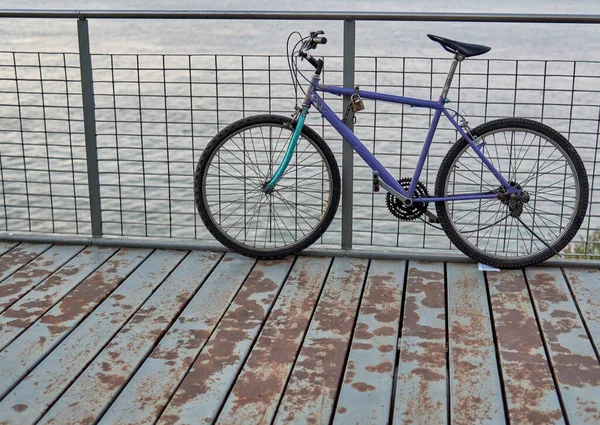 Bicycle Metallic Fences Bridge River — Stockfoto
