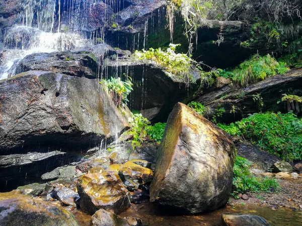 Natural View Rocky Waterfall Forest — Fotografia de Stock