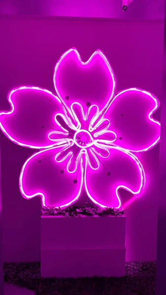 Vertical Shot Wall Decorated Purple Neon Flower — Stockfoto