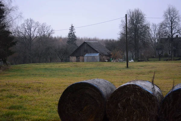 Closeup Hay Rolls Field Wooden Barns Gloomy Day Background — Photo