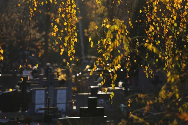 Primo Piano Croci Cemento Cimitero Polonia — Foto Stock