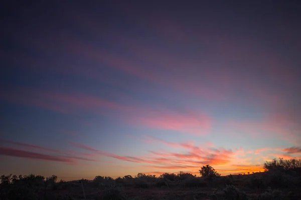 Colorful Sunset Sky Trees — Fotografia de Stock