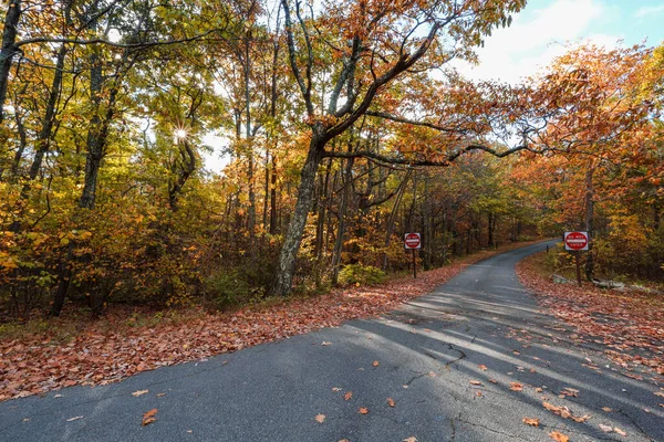 View Road Passing Autumn Forest High Point State Park United — Fotografia de Stock