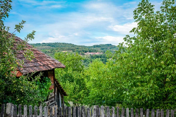 View Trees Small House Beautiful Countryside — Stockfoto