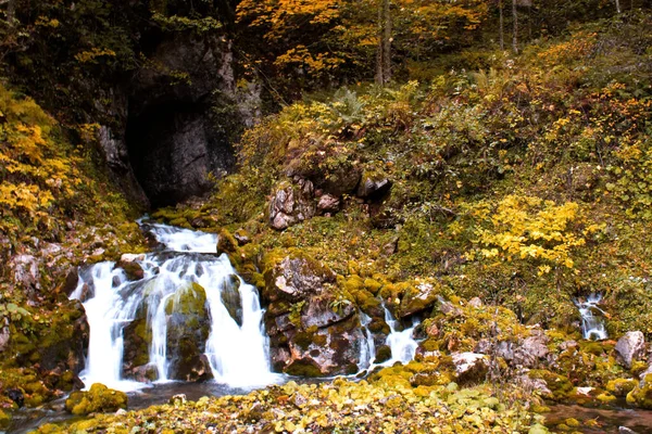 Small Waterfall Flowing Mossy Rocks — стоковое фото