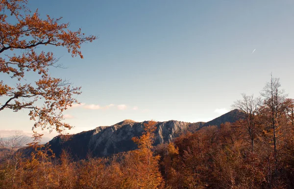Beautiful View Autumn Trees Rocky Mountains — Photo