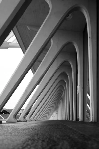 Vertical Grayscale Shot Liege Guillemins Station Design France — Stock fotografie