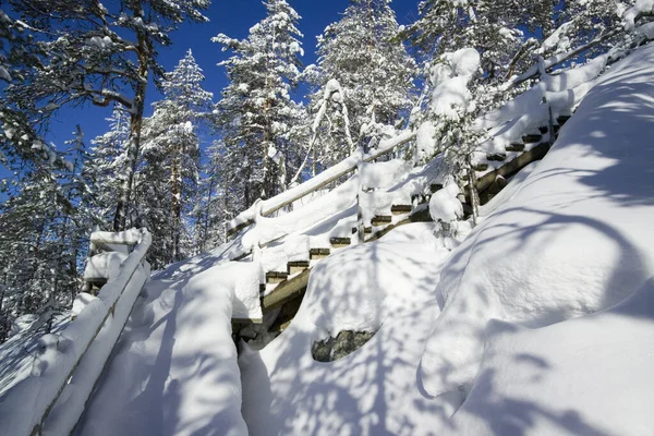 Winter Scenery Vuokatti Sotkamo Finland — Fotografia de Stock