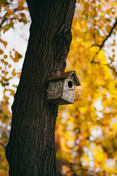 Plano Vertical Una Pajarera Madera Sobre Tronco Árbol — Foto de Stock