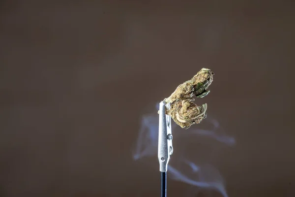 Smoking Herb Hold Tweezers Brown Background — Φωτογραφία Αρχείου