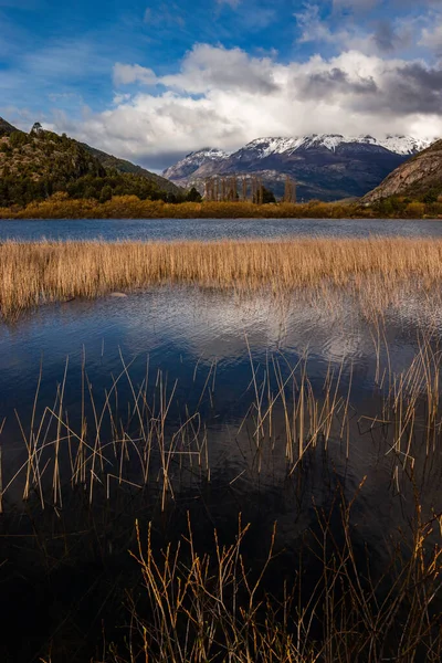Beautiful Mountain View Water Reeds Futaleufu River Chile — ストック写真