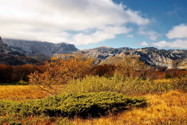 Beautiful View Autumn Trees Mountains Background — Stockfoto