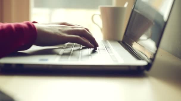 Mujer Escribiendo Mano Teclado Del Ordenador Portátil Primer Plano — Vídeos de Stock