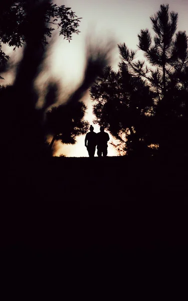 Silhouette Two Men Walking Park Sunset Male Friendship Concept — Stock fotografie