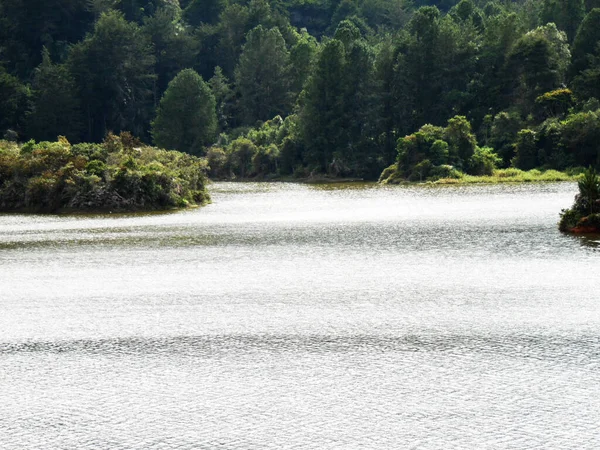 View Crawford Lake Surrounded Forest Milton Canada — Zdjęcie stockowe