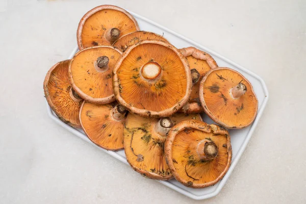Een Bovenaanzicht Van Oranje Champignons Een Witte Plastic Plaat Geïsoleerd — Stockfoto